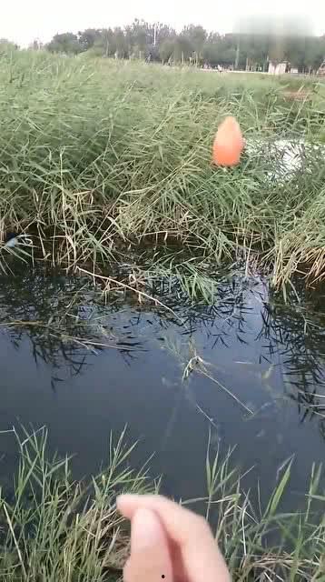 垂钓教程视频,轻松掌握钓鱼技巧