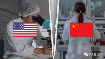 美国黄色视频,内容、影响及监管挑战