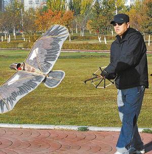 盘鹰高手视频,揭秘空中猎手的绝技与智慧