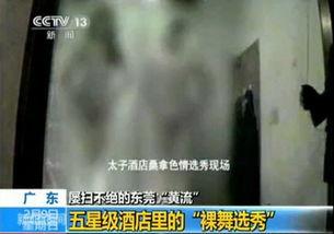 央视东莞暗访视频,揭秘背后真相