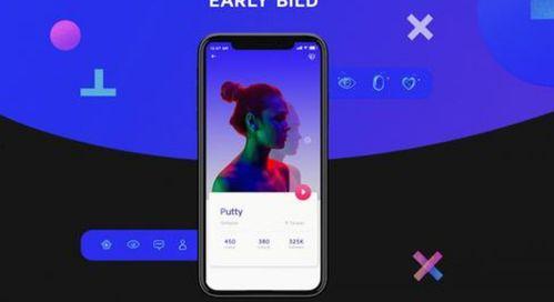 app开发视频,跟随视频教程轻松掌握App开发技巧